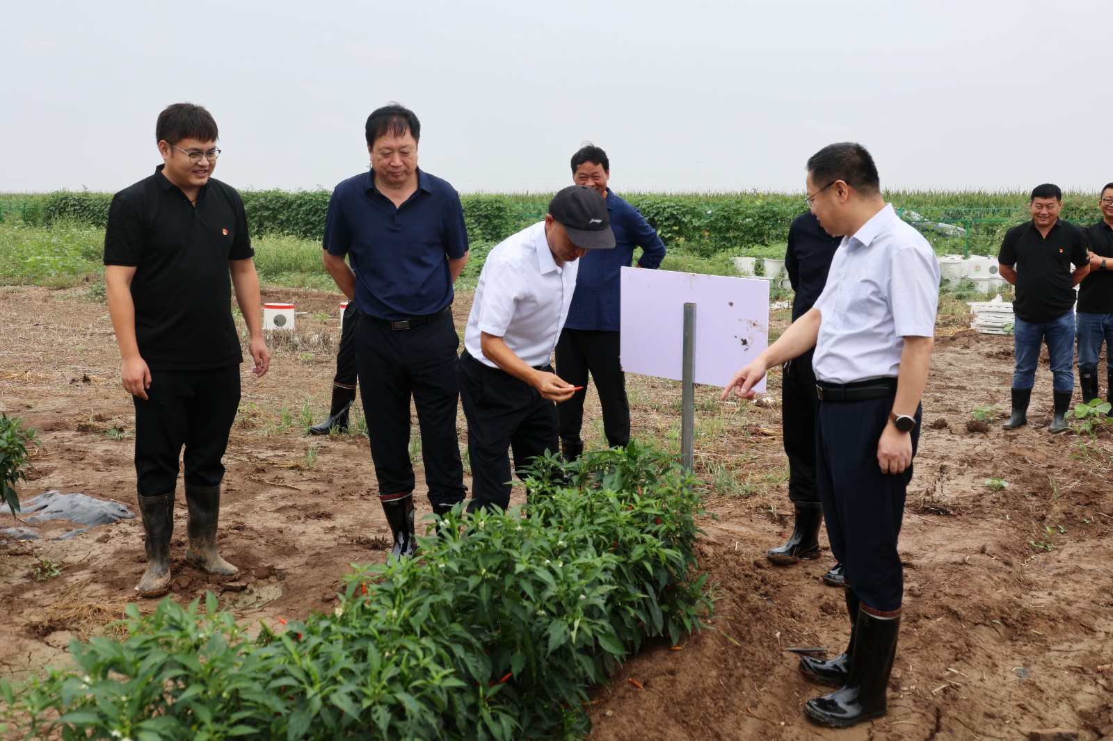 £¨2£©.jpg £¨2£©.jpg