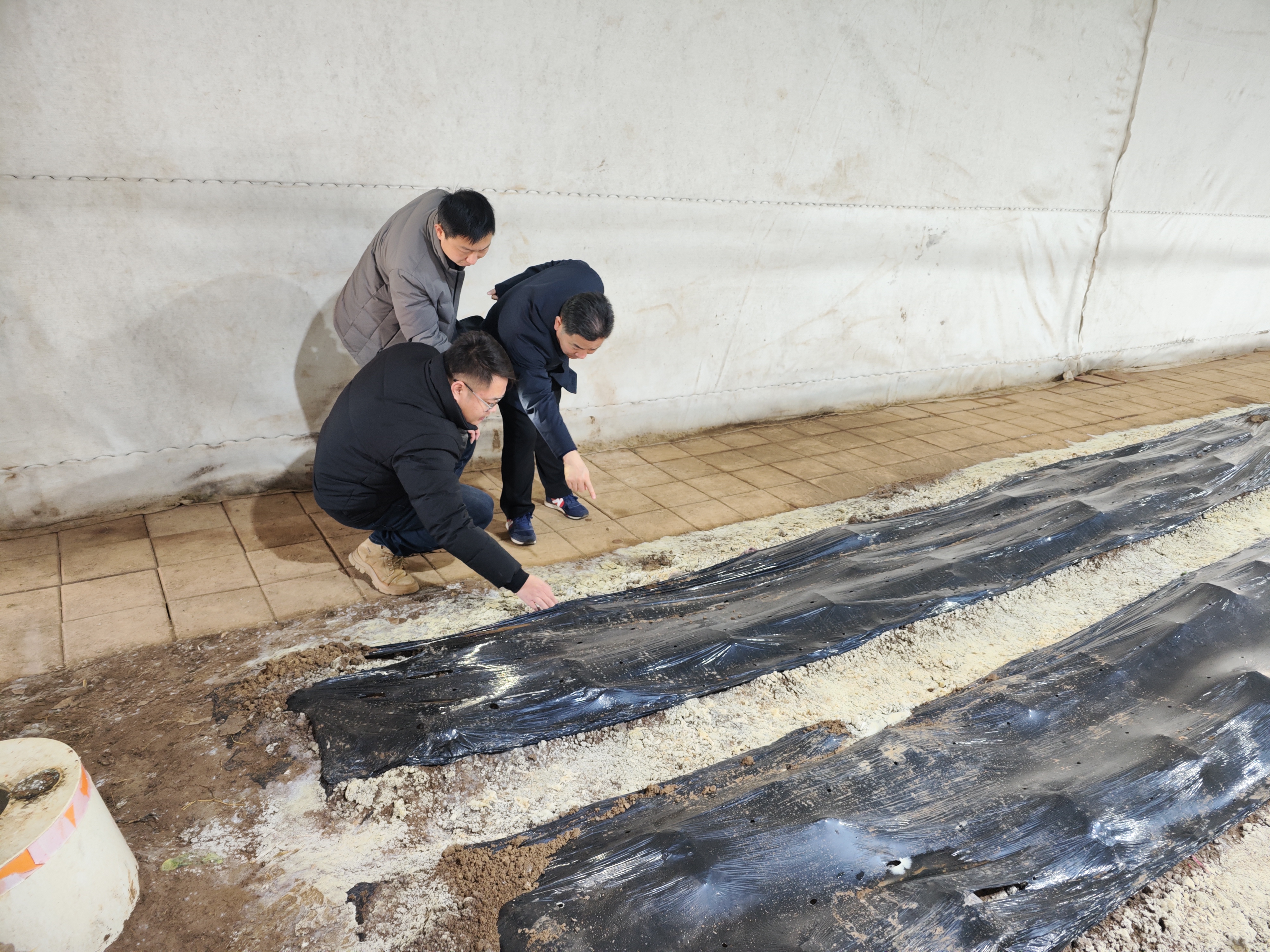 ΢ÐÅͼƬ_20240105161902.jpg ΢ÐÅͼƬ_20240105161902.jpg