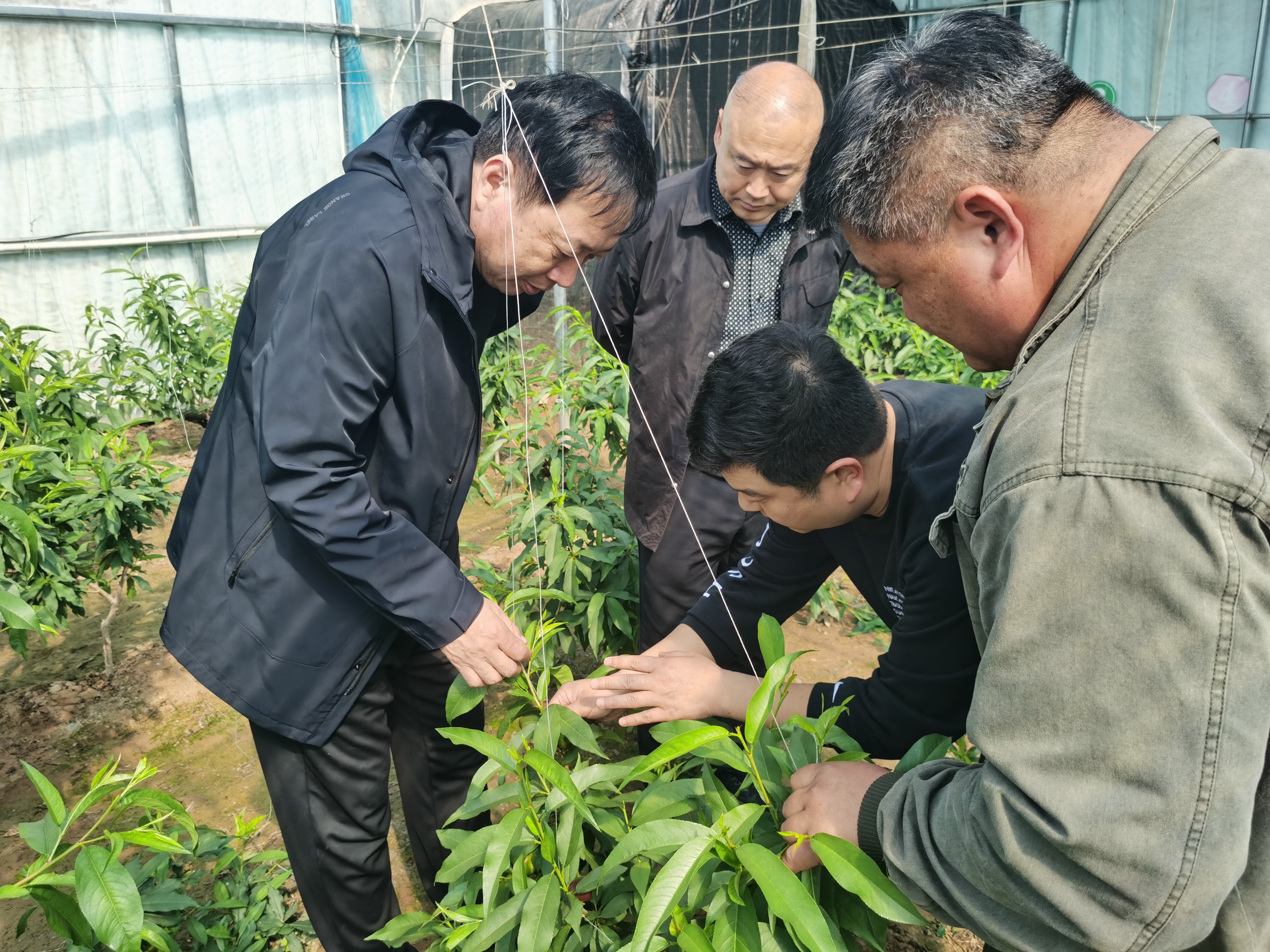 微信图片_20240326170102.jpg 微信图片_20240326170102.jpg