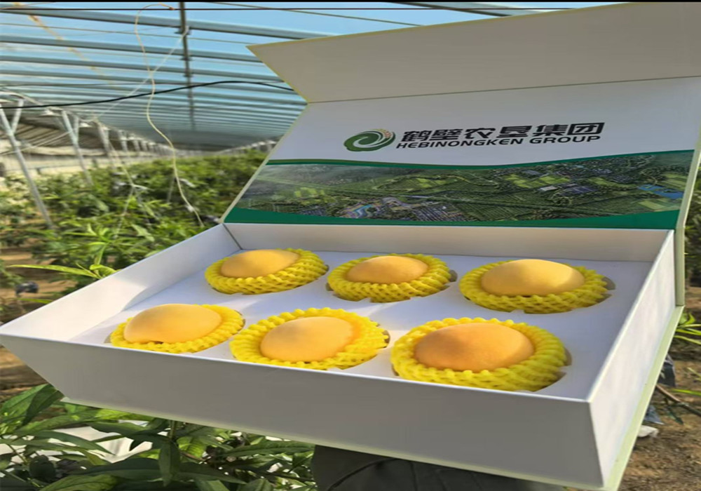 ������԰����